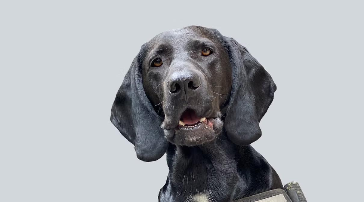 Luke - The Happiness Coach